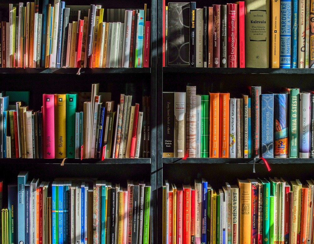 Das Foto zeigt ein Regal voll mit Büchern.