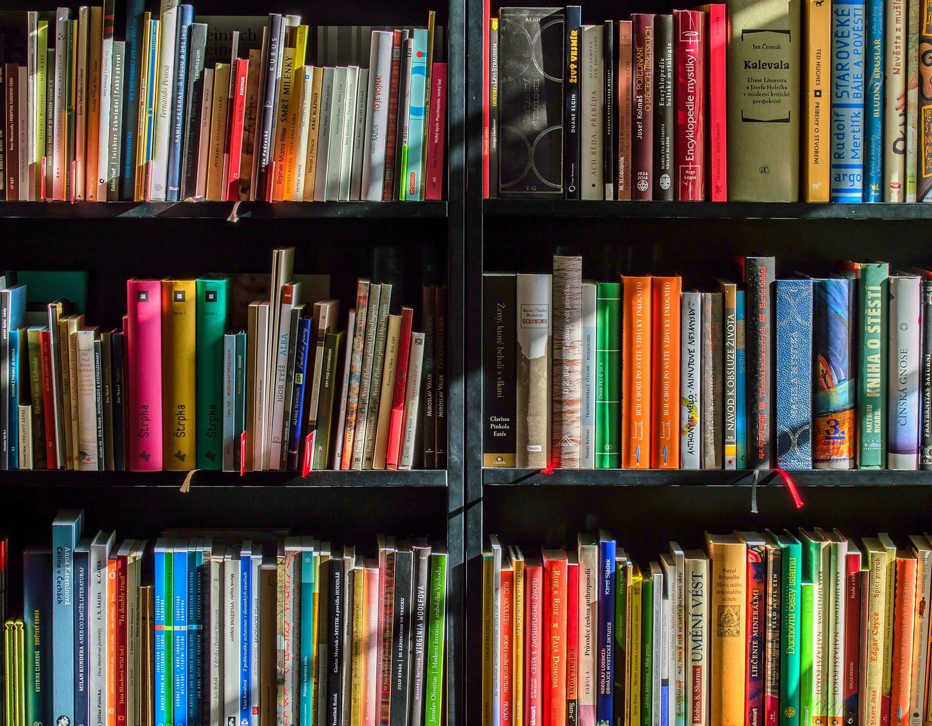 Das Foto zeigt ein Regal voll mit Büchern.