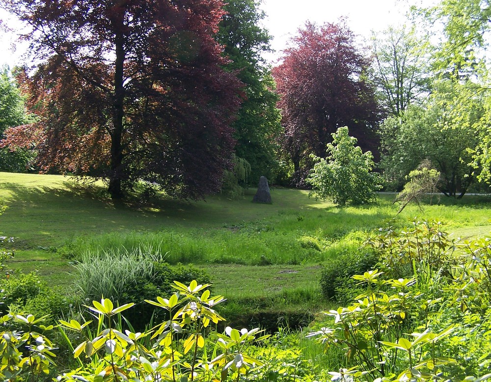 Eine Grünpfläche auf der ein großer Baum mit leuchtend roten Blättern steht.