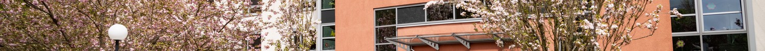 Das Foto zeigt das Gebäude des LWL-Pflegezentrums Warstein